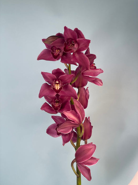 Build your own bouquet