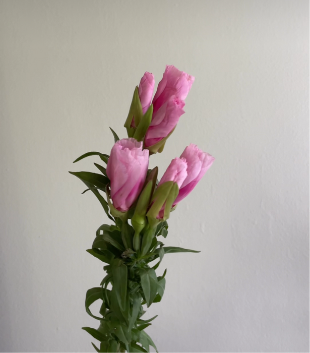 Build your own bouquet