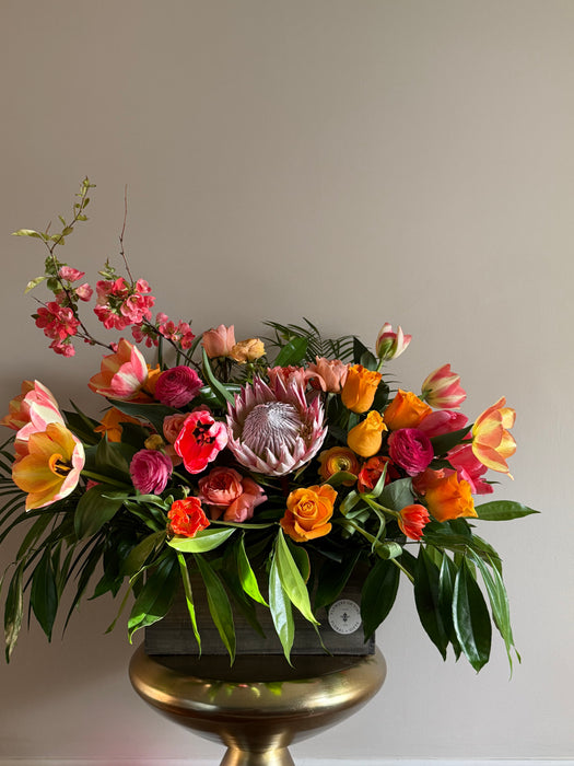 Wood Box blooms