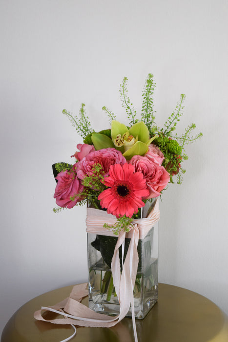 Kalahari Watermelon Bundle