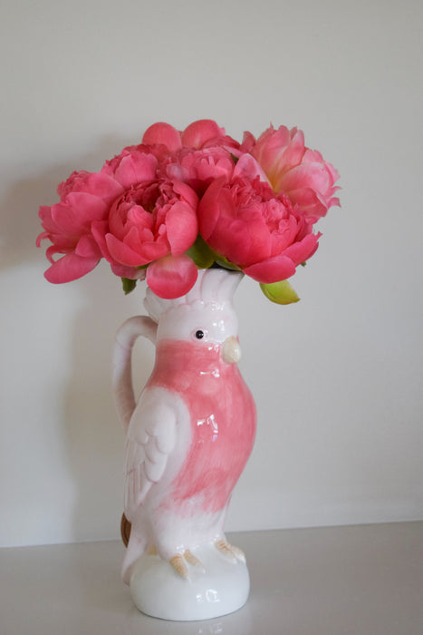 Cockatoo mama