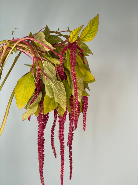 Build your own bouquet