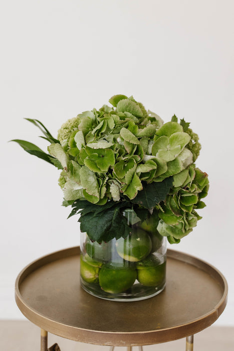 Lime & Coconut Hydrangea