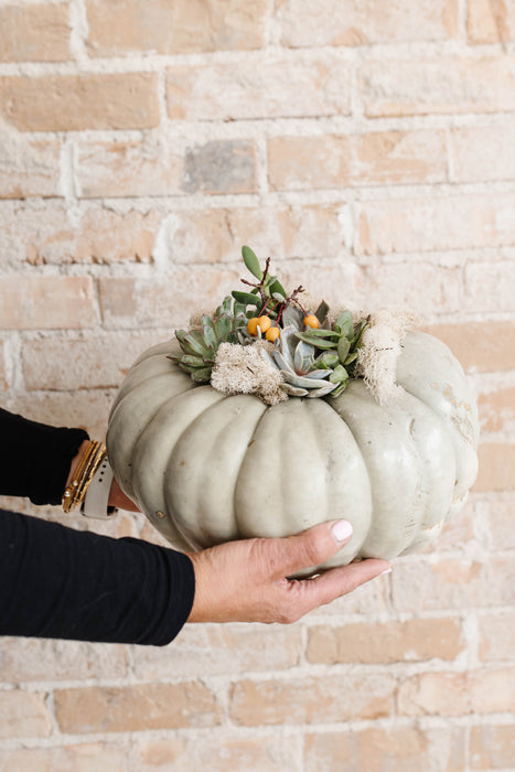 Fall Succulent Pumpkins