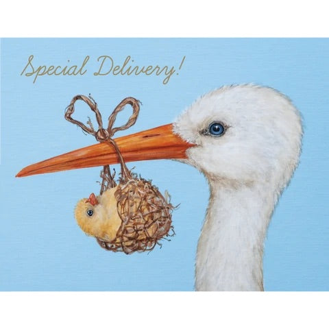 Special Delivery! Stork Card