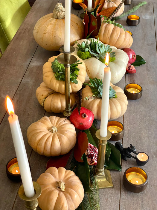 Fall Succulent Pumpkins