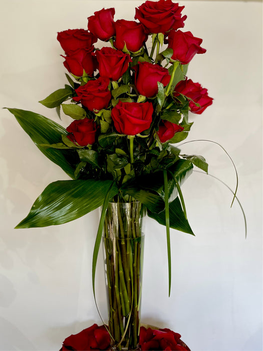 Signature Red  Roses