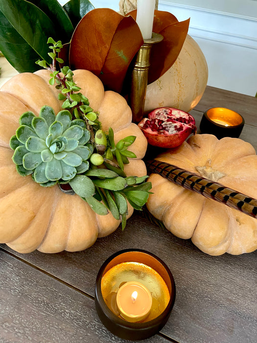 Fall Succulent Pumpkins